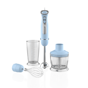 Set Mixeur Plongeant 1000W